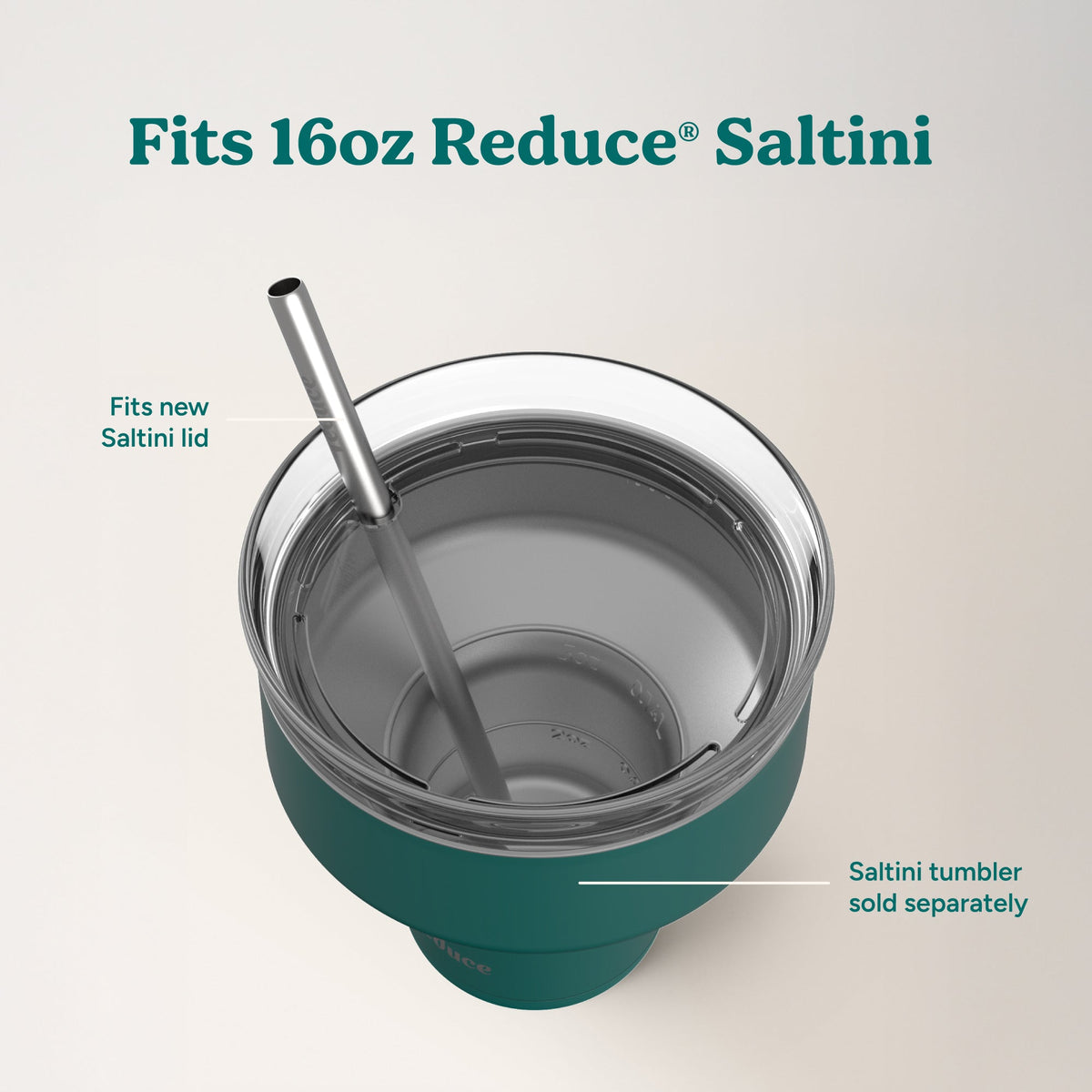 saltini-straw-set-a6 4PK_SaltiniStraws_SS-4.jpg