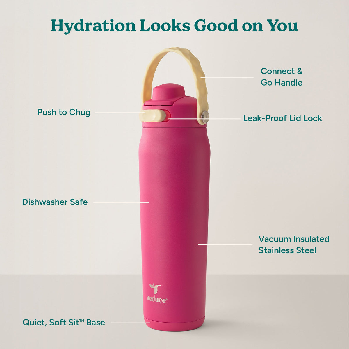 aura-26-oz-x5 Aura_26oz_DragonFruit_PDP_Infographic_2-03.jpg