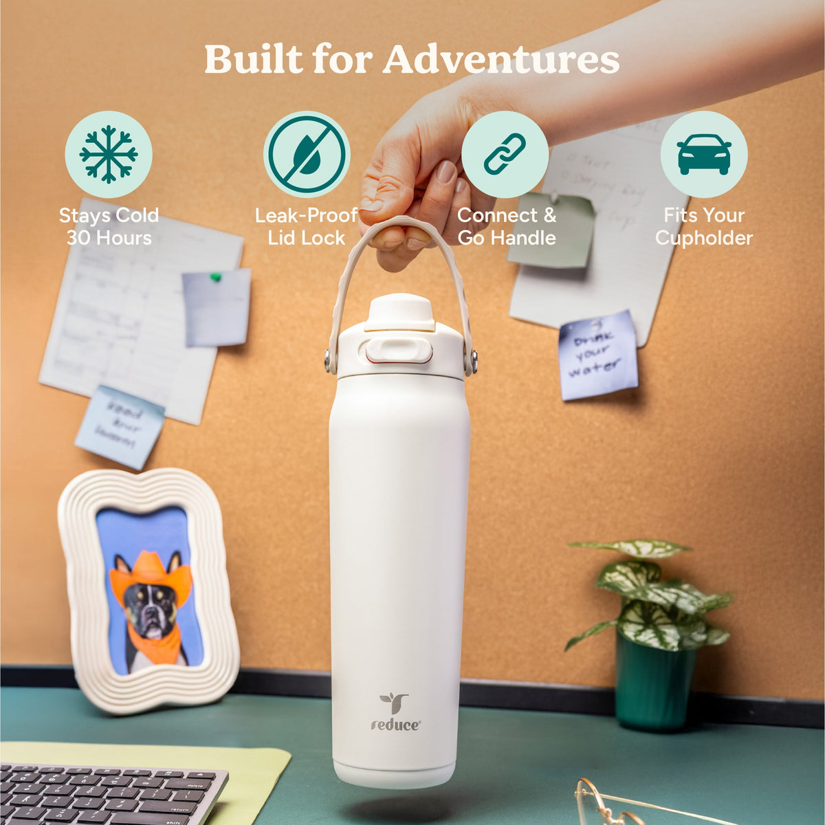 aura-26-oz-a0 Aura_26oz_Unbleached_PDP_Infographic_1.jpg