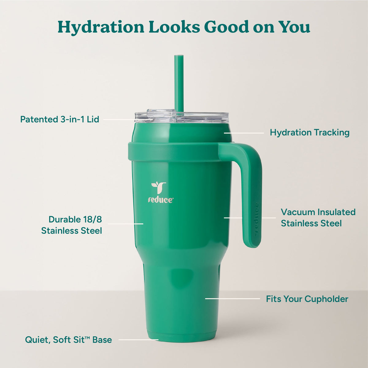 cold1-40-oz-x0 Cold1_40oz_PalmLeaf_Infographic_2.jpg