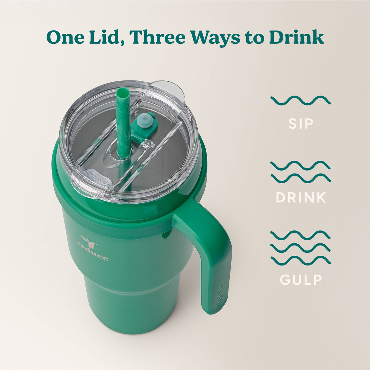 cold1-40-oz-x0 Cold1_40oz_PalmLeaf_Infographic_3.jpg