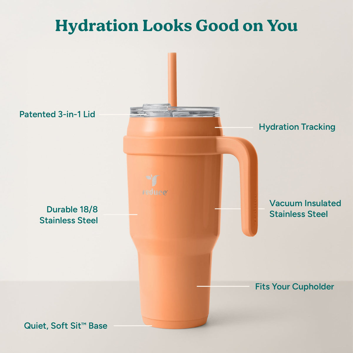 cold1-40-oz-x0 Cold1_40oz_Papaya_Infographic_2.jpg